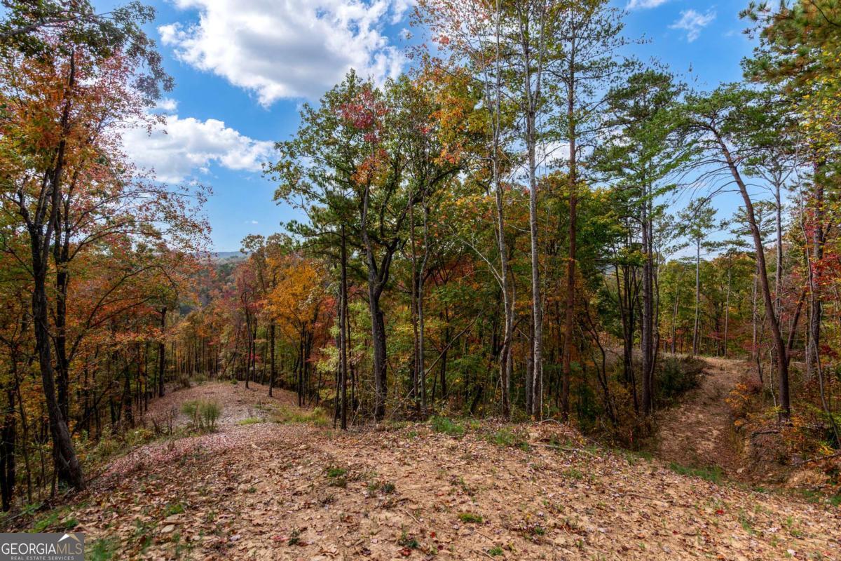 Lot 269 Canoe Way Talking Rock GA 30175