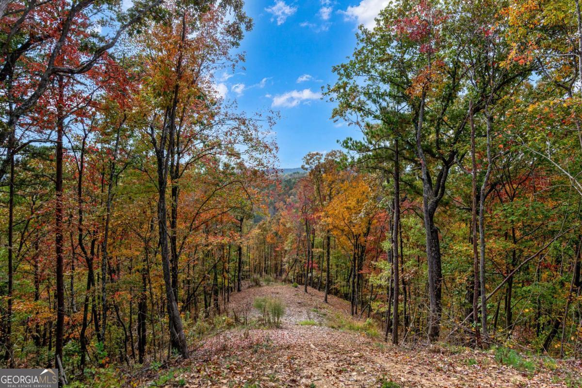 Lot 269 Canoe Way Talking Rock GA 30175