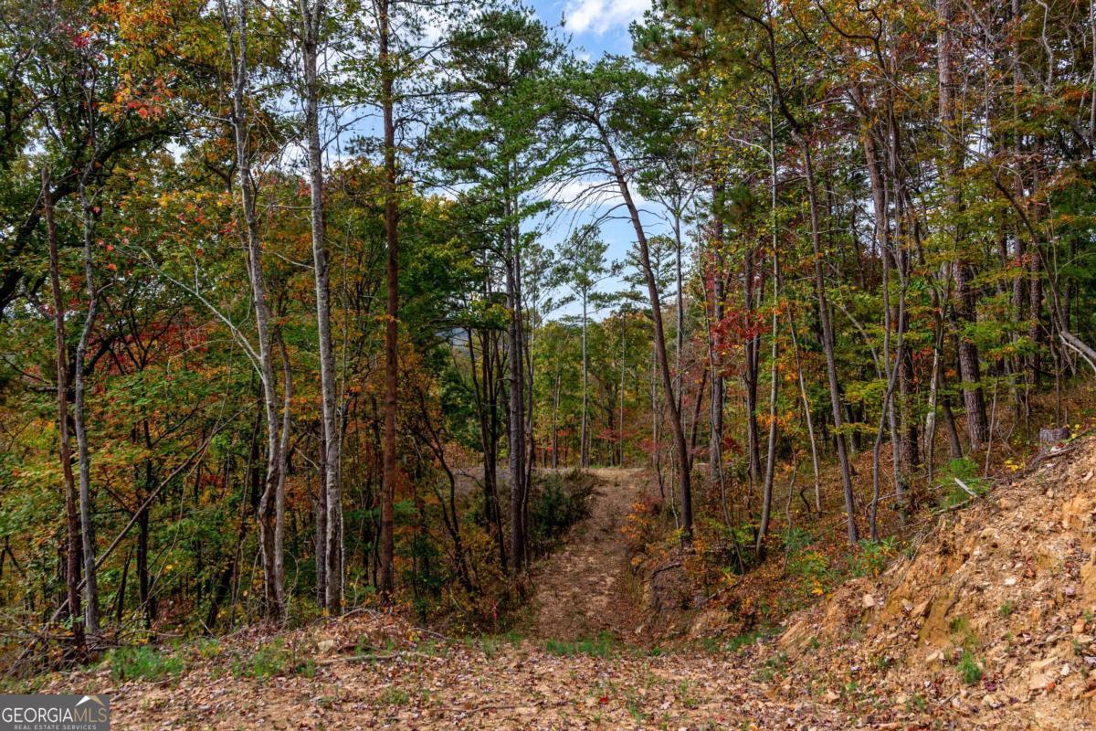Lot 269 Canoe Way Talking Rock GA 30175