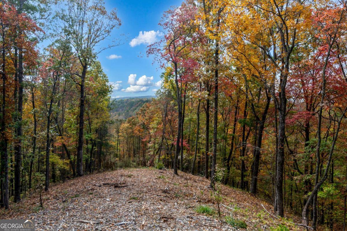 Lot 269 Canoe Way Talking Rock GA 30175