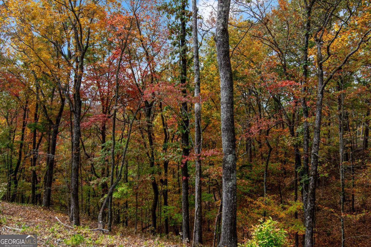 Lot 269 Canoe Way Talking Rock GA 30175