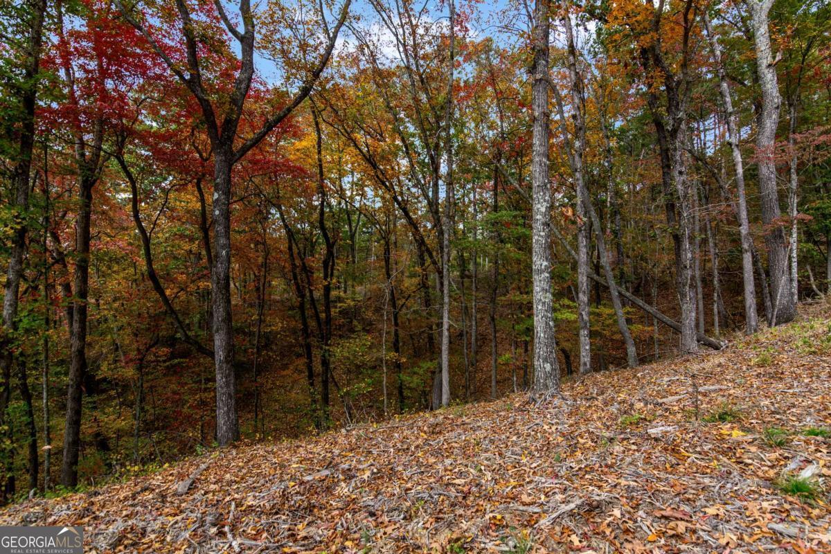 Lot 269 Canoe Way Talking Rock GA 30175