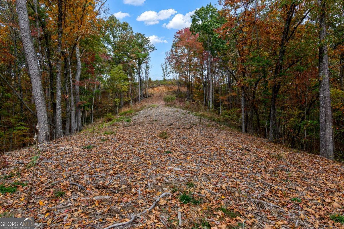 Lot 269 Canoe Way Talking Rock GA 30175