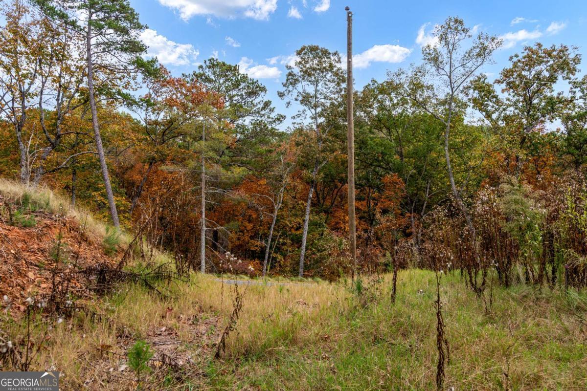 Lot 269 Canoe Way Talking Rock GA 30175