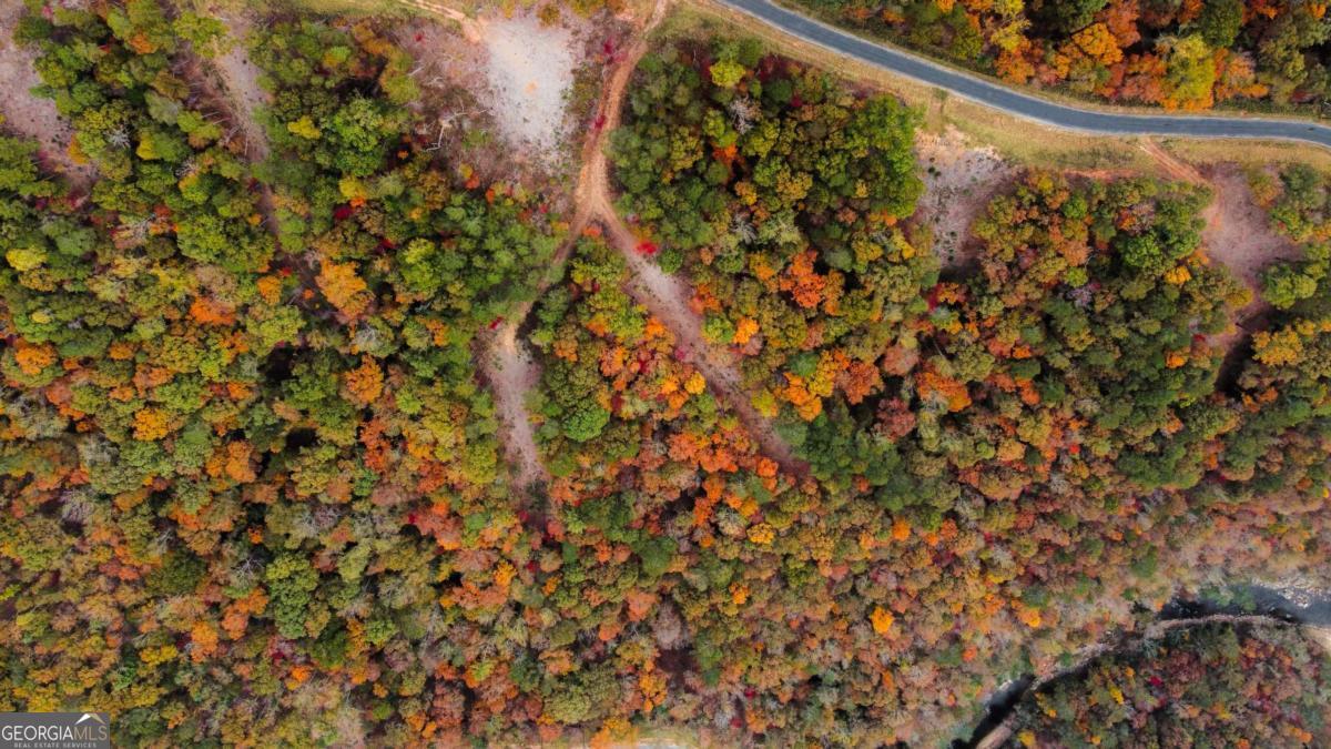 Lot 269 Canoe Way Talking Rock GA 30175