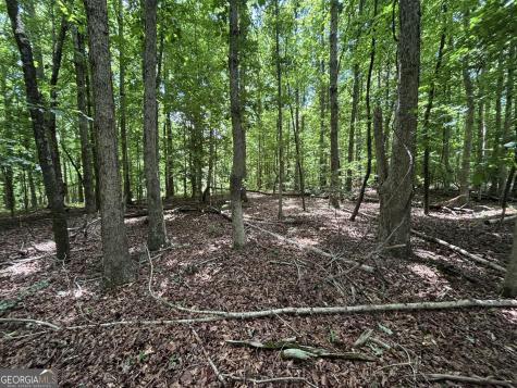 0 Crest View Drive Cleveland GA 30528