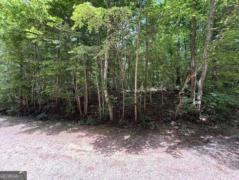 0 Crest View Drive Cleveland GA 30528