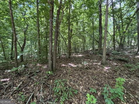 0 Crest View Drive Cleveland GA 30528