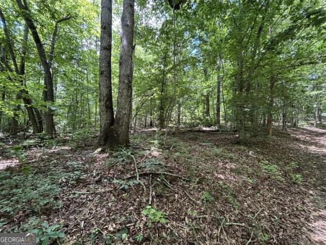 0 Crest View Drive Cleveland GA 30528