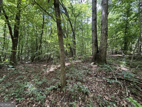 0 Crest View Drive Cleveland GA 30528