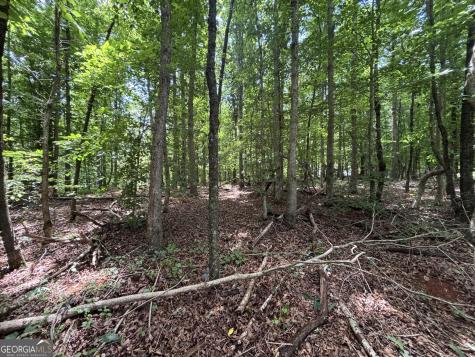 0 Crest View Drive Cleveland GA 30528