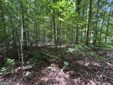 0 Crest View Drive Cleveland GA 30528