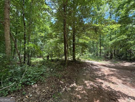 0 Crest View Drive Cleveland GA 30528