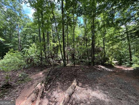 0 Crest View Drive Cleveland GA 30528