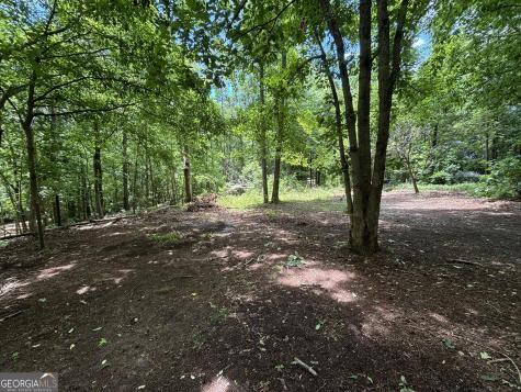 0 Crest View Drive Cleveland GA 30528