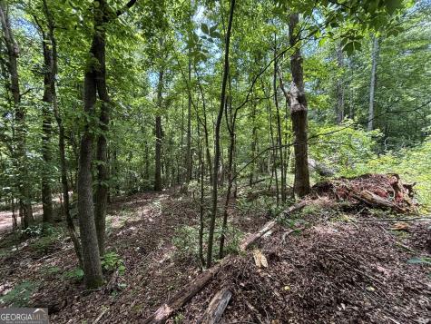 0 Crest View Drive Cleveland GA 30528