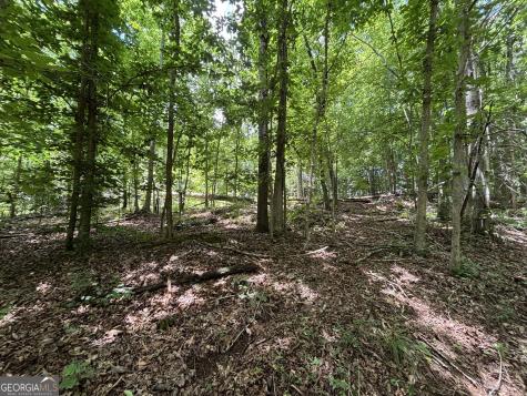 0 Crest View Drive Cleveland GA 30528