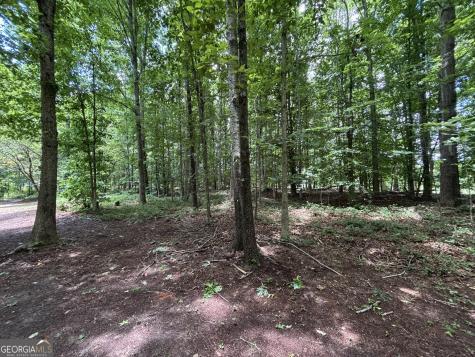 0 Crest View Drive Cleveland GA 30528