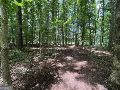 0 Crest View Drive Cleveland GA 30528