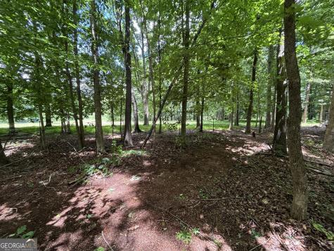 0 Crest View Drive Cleveland GA 30528