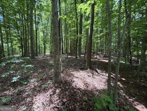 0 Crest View Drive Cleveland GA 30528