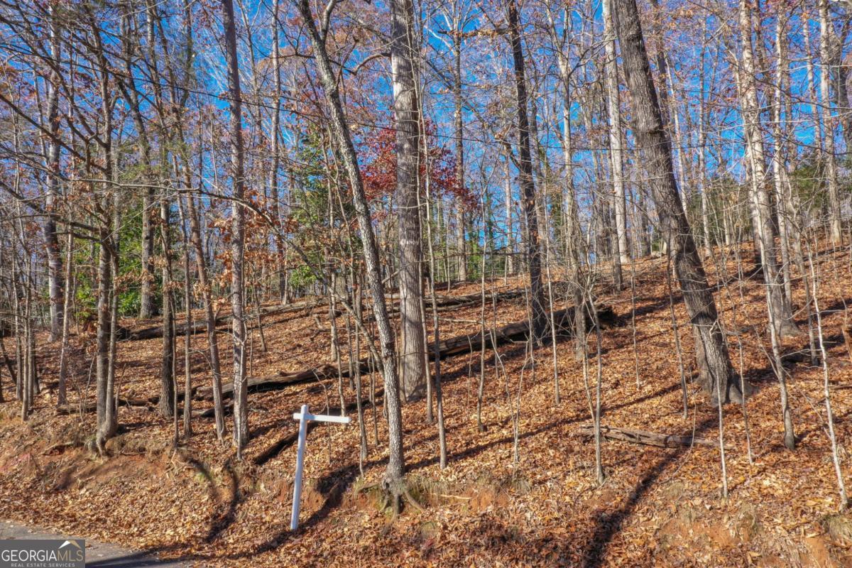 3442 Jet Wright Road Gainesville GA 30506