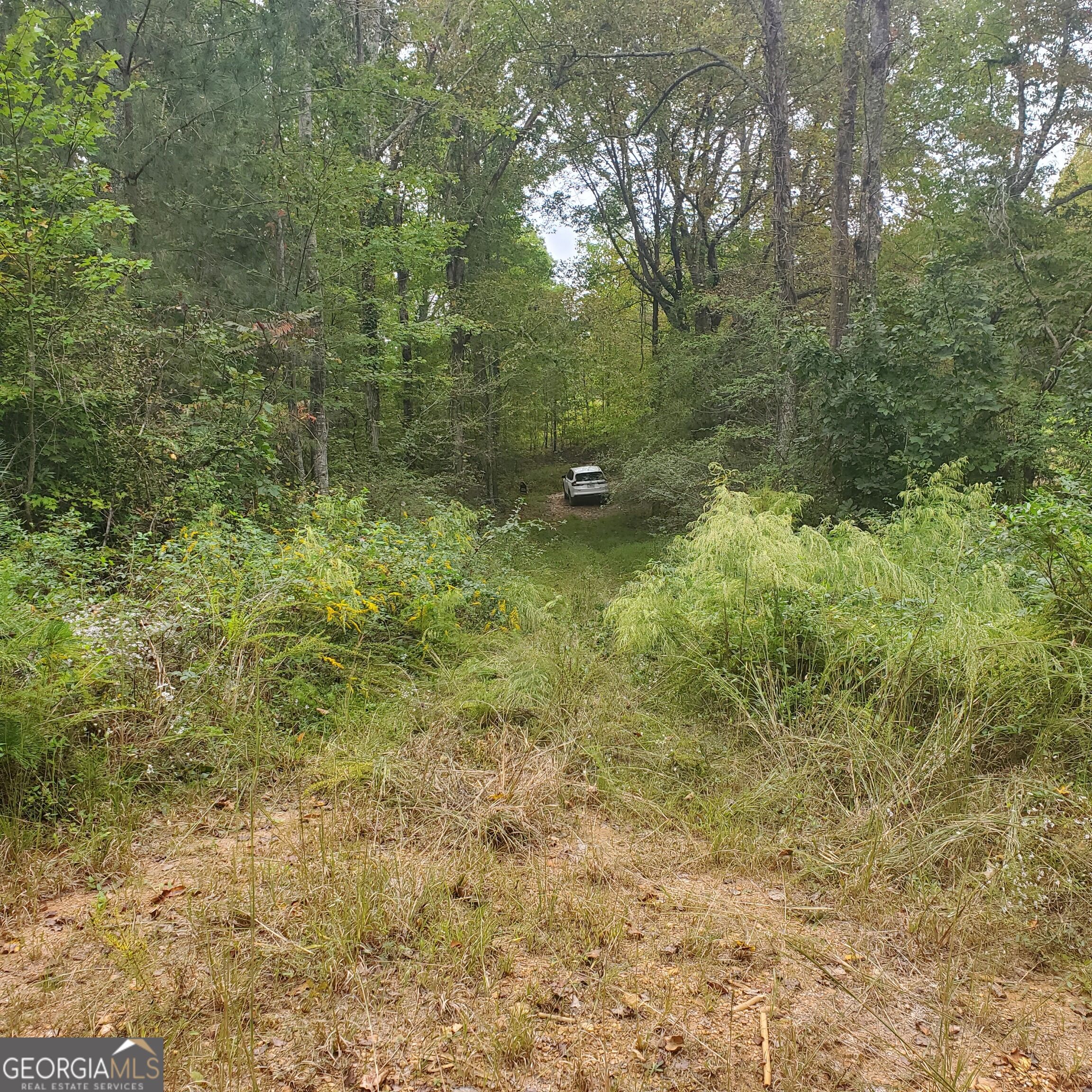 1933 Highway 136 W Talking Rock GA 30175