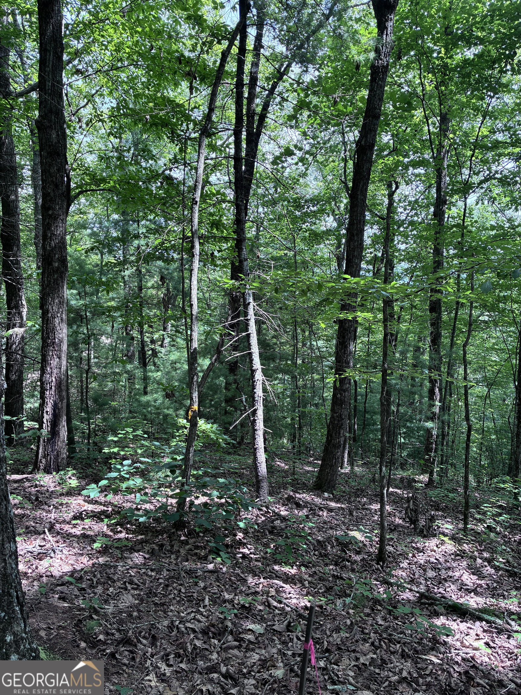 829 Morton Drive Ellijay GA 30540