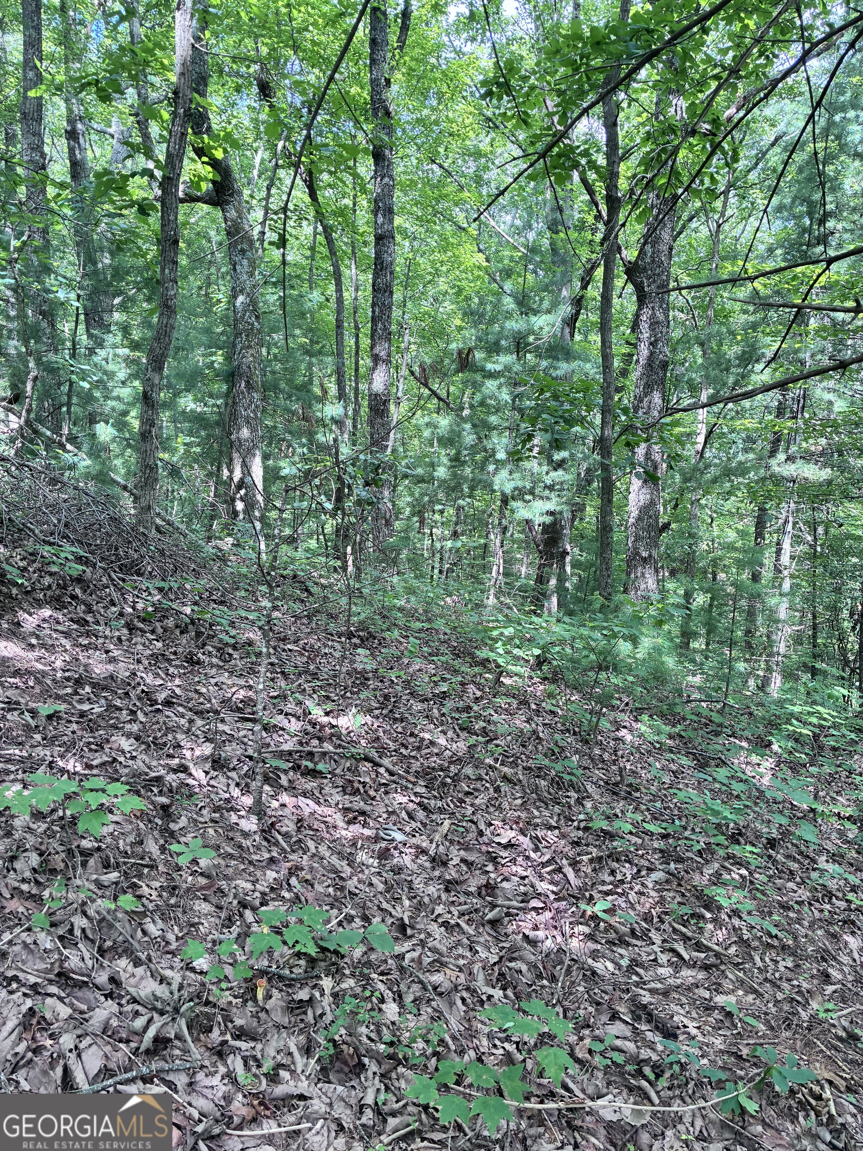 829 Morton Drive Ellijay GA 30540