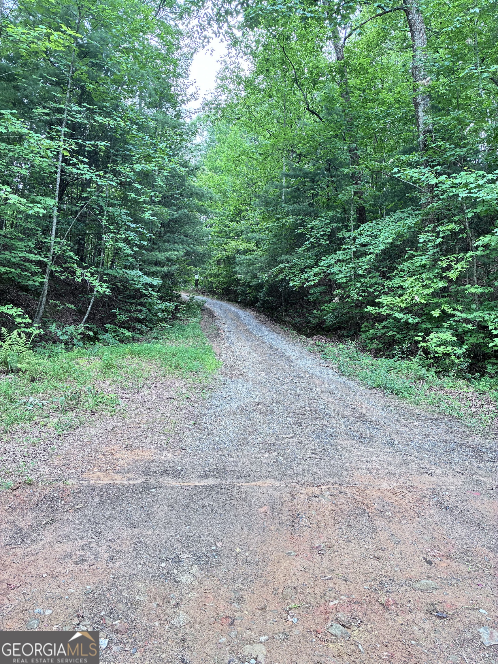 829 Morton Drive Ellijay GA 30540