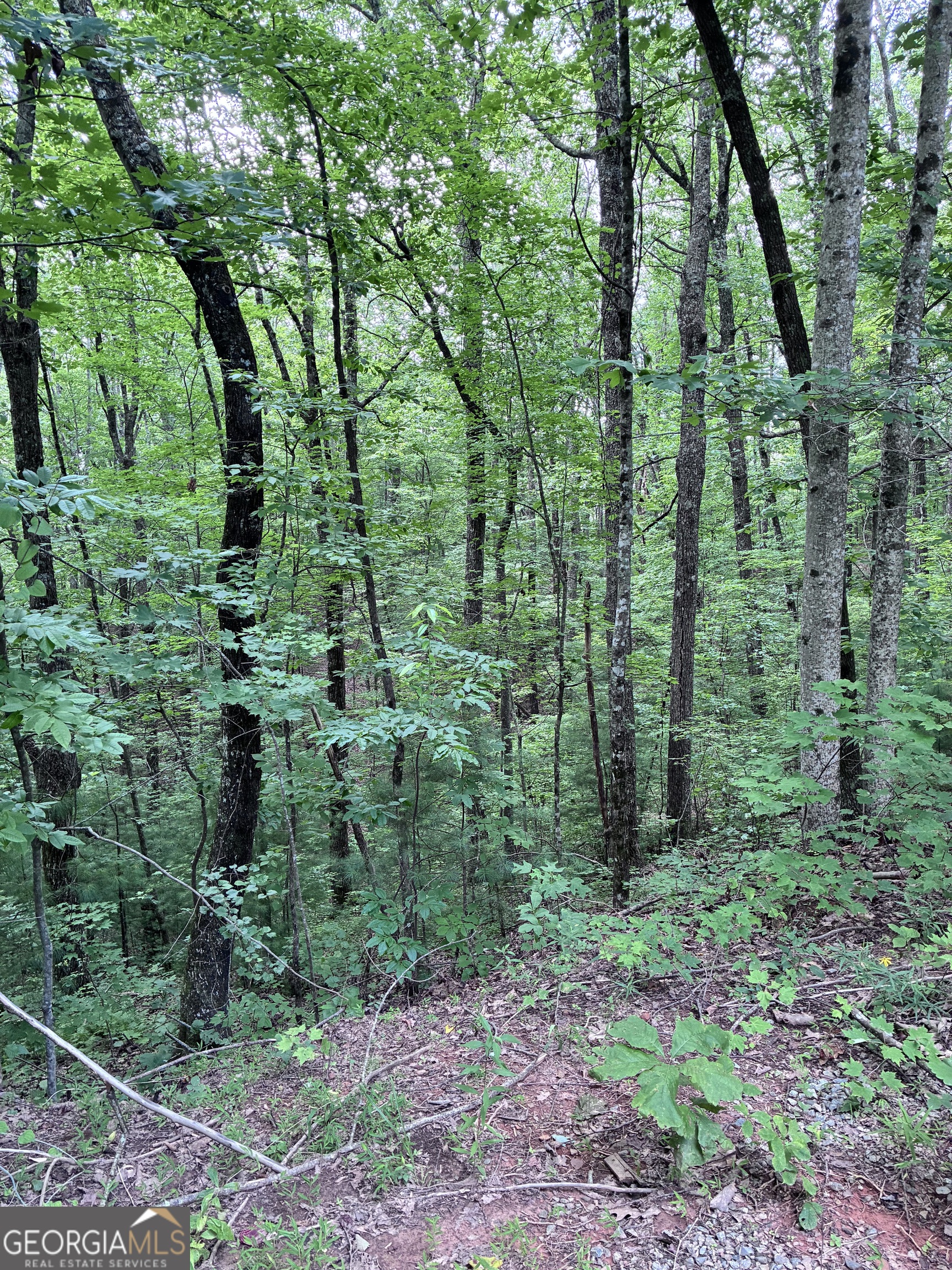 829 Morton Drive Ellijay GA 30540