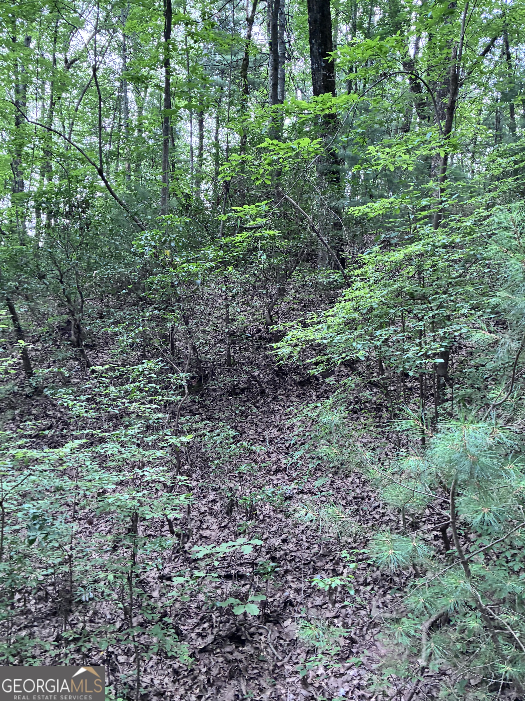 829 Morton Drive Ellijay GA 30540