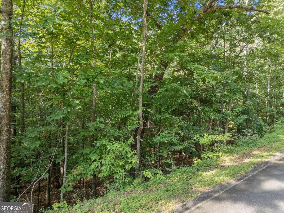 0 Kings Road Gainesville GA 30506