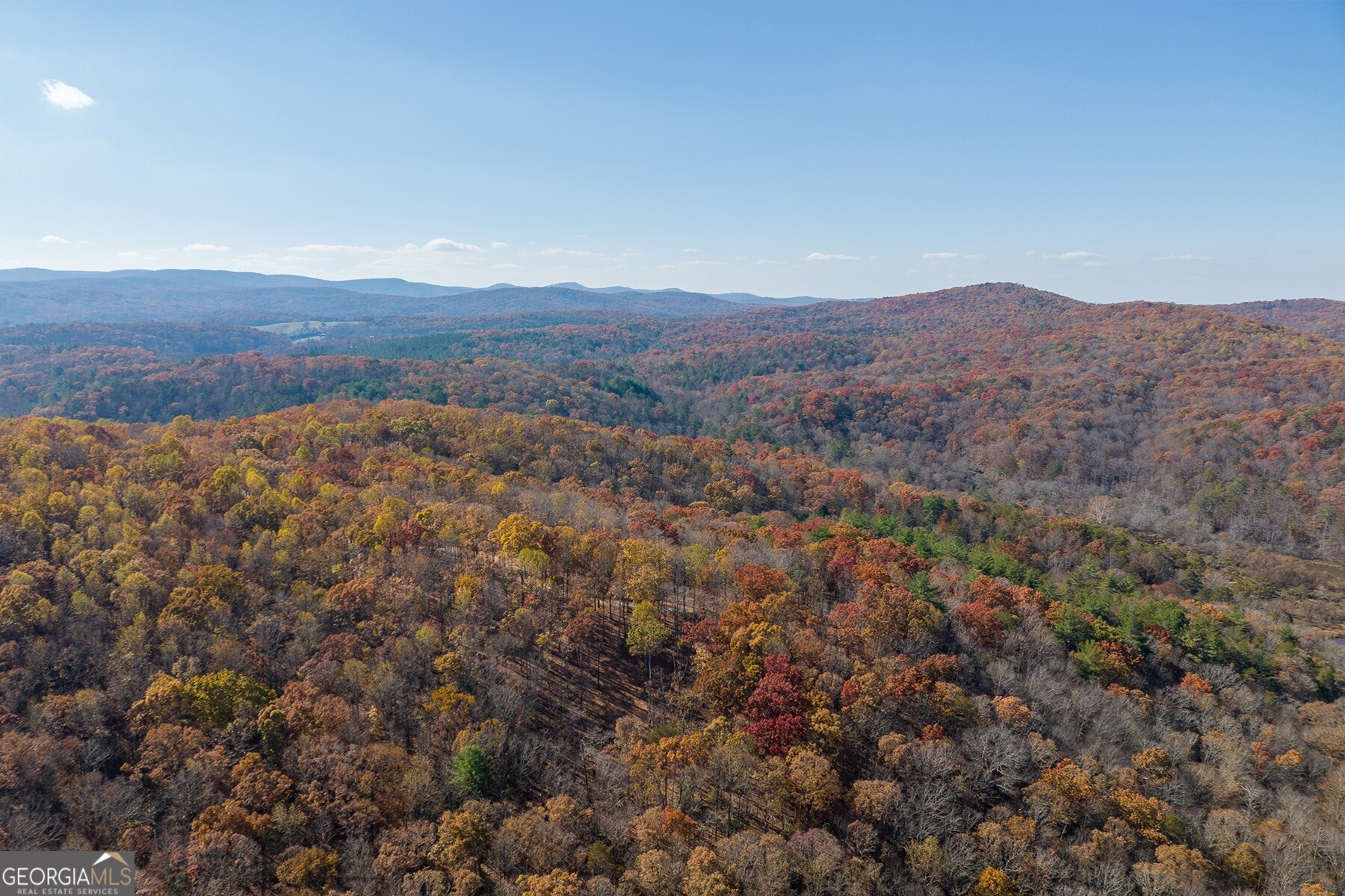 Anderson Creek Tanager Trail Ellijay GA 30536