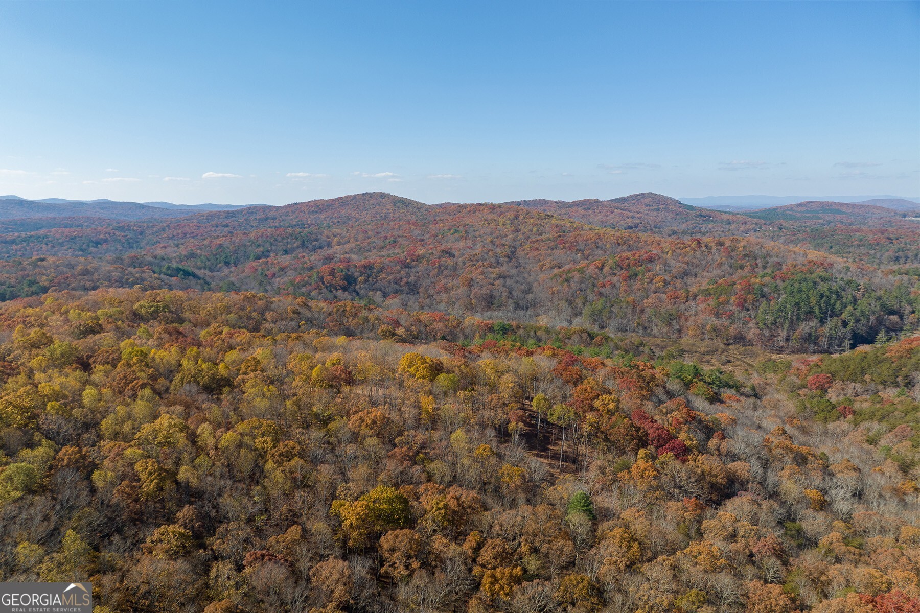 Anderson Creek Tanager Trail Ellijay GA 30536
