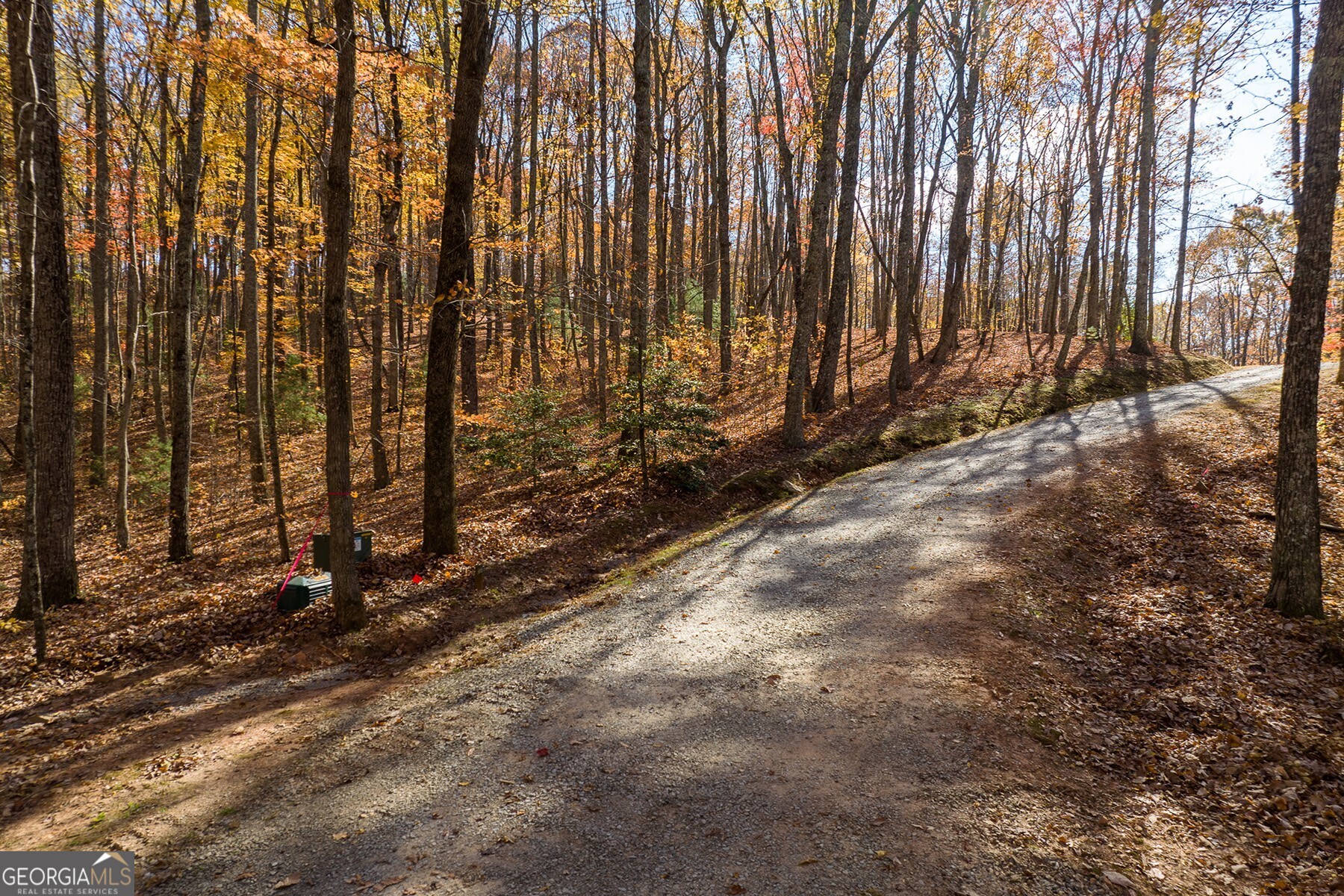 Anderson Creek Tanager Trail Ellijay GA 30536