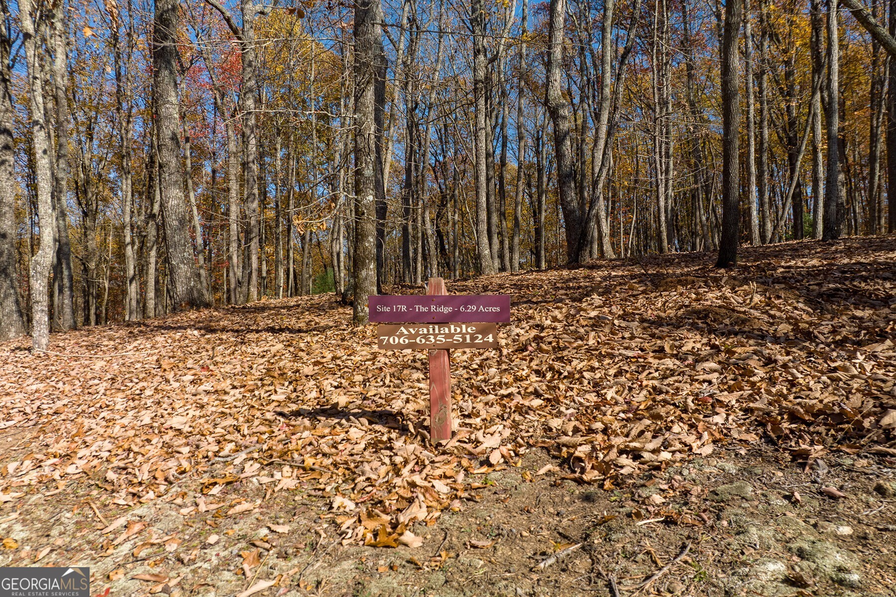 Anderson Creek Tanager Trail Ellijay GA 30536