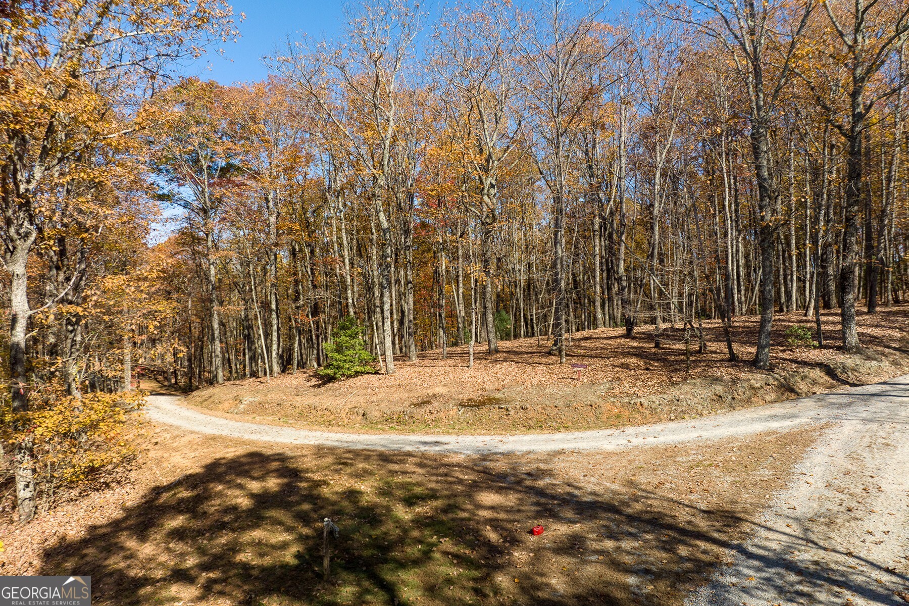 Anderson Creek Tanager Trail Ellijay GA 30536