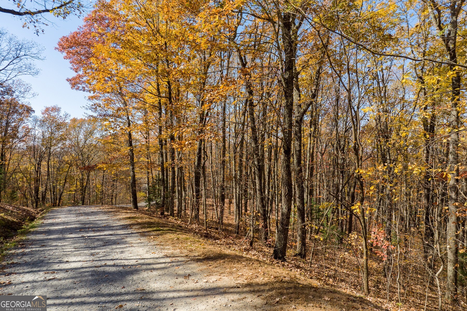 Anderson Creek Tanager Trail Ellijay GA 30536