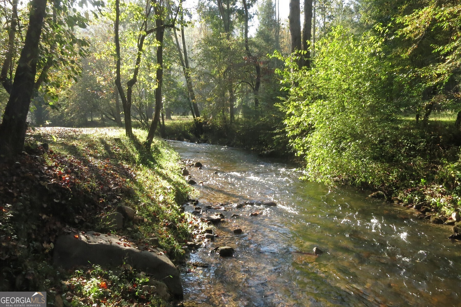 Anderson Creek Tanager Trail Ellijay GA 30536