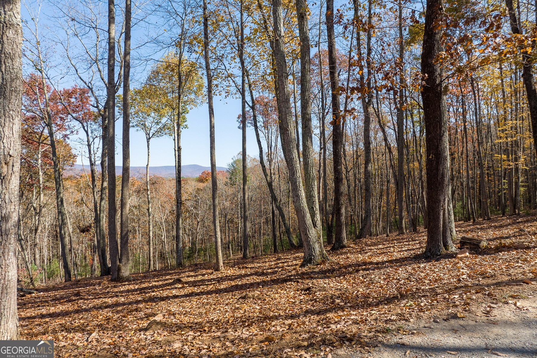 Anderson Creek Tanager Trail Ellijay GA 30536