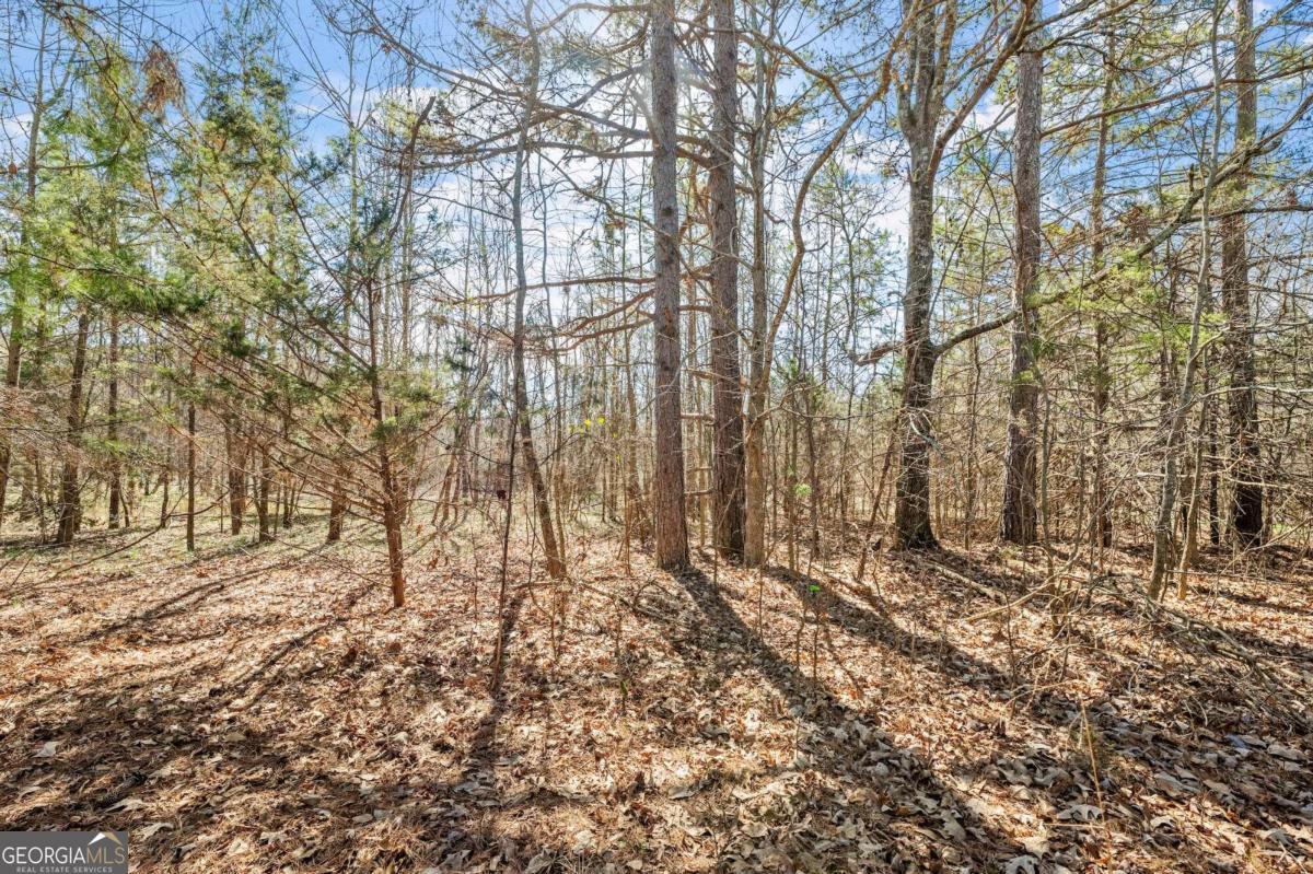 4 W Farm Road Jefferson GA 30549