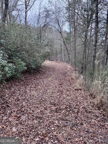 5565 Cavender Creek Road Dahlonega GA 30533
