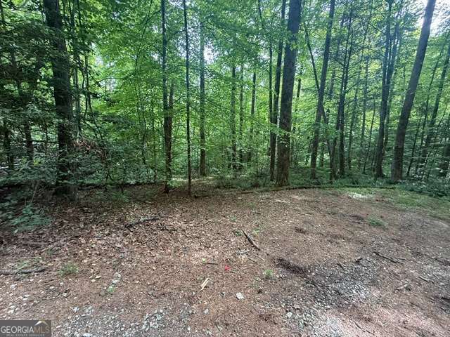 389 Fox Trot Road Clayton GA 30525