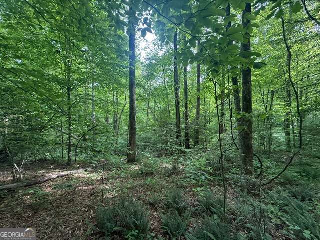 389 Fox Trot Road Clayton GA 30525