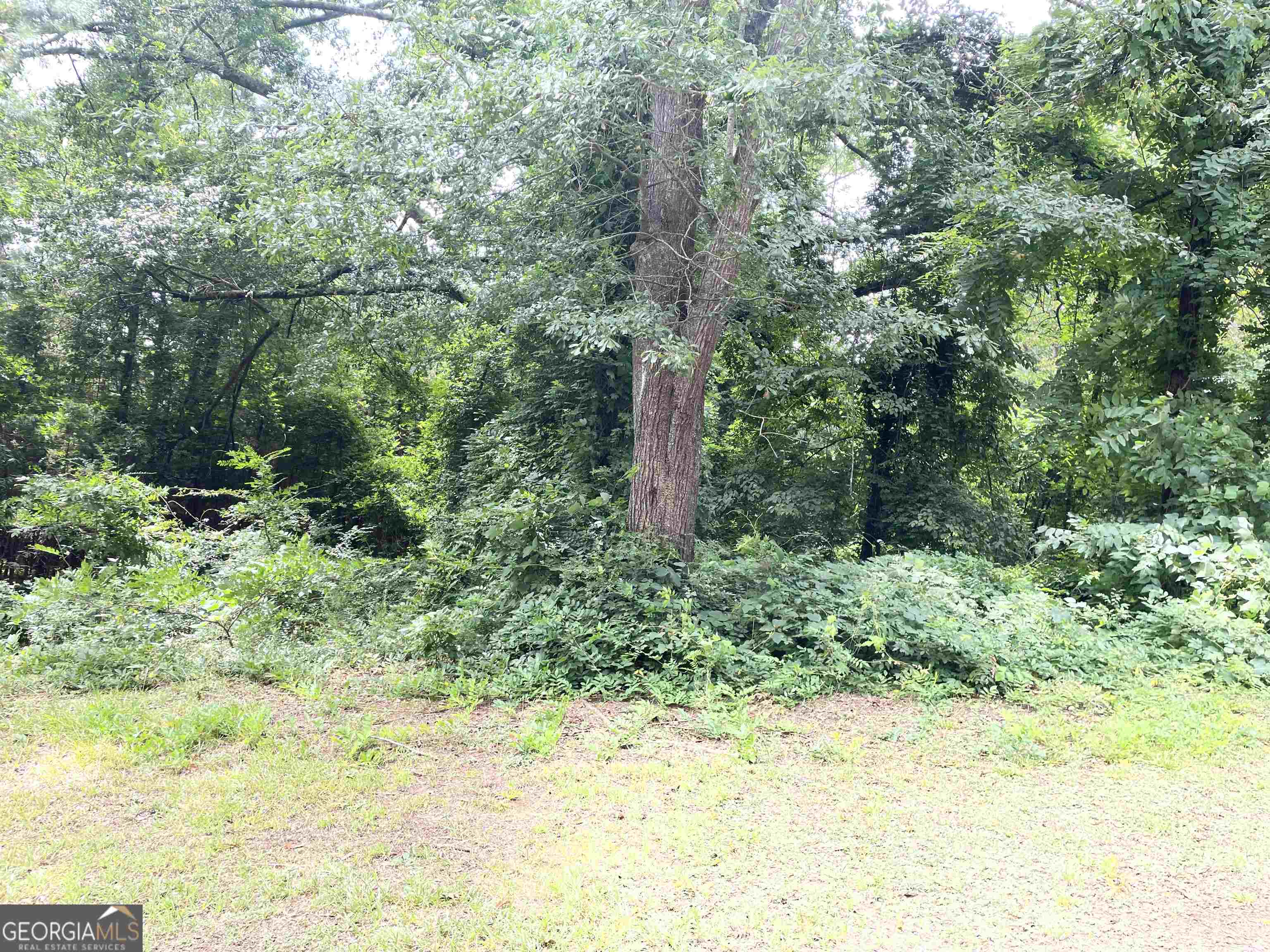 120 Bruce Road Martin GA 30557