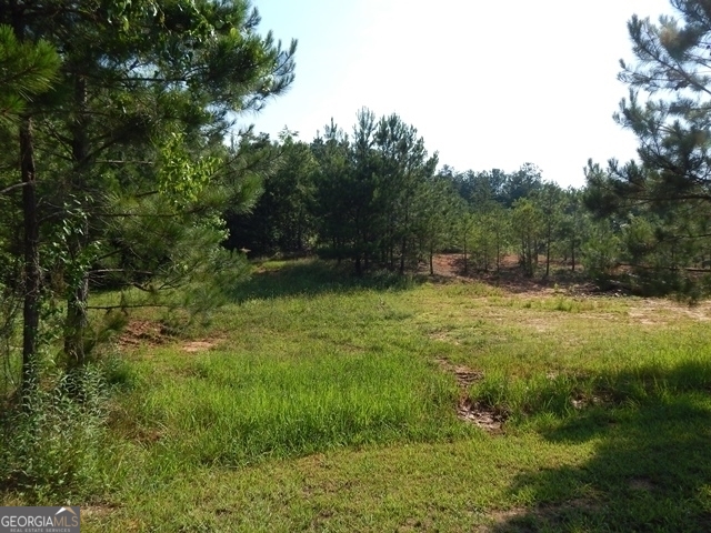 120 Bruce Road Martin GA 30557