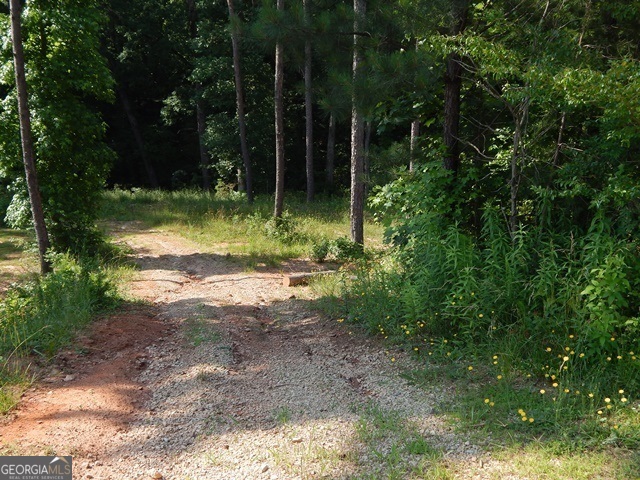 120 Bruce Road Martin GA 30557