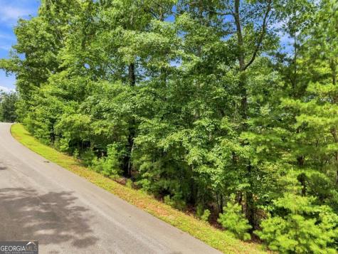 0 Deer Crest Road Blue Ridge GA 30513