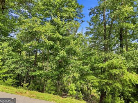 0 Deer Crest Road Blue Ridge GA 30513
